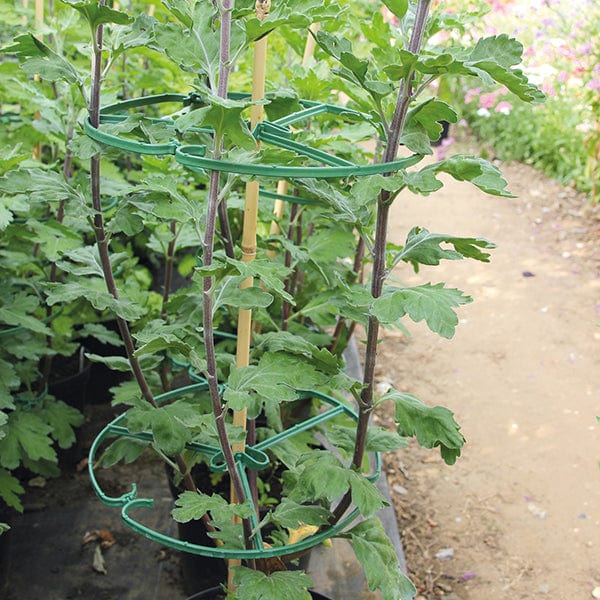 Mid-Season Sale! Save up to 50% off